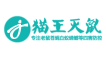 成都貓王滅鼠網站推廣優化案例